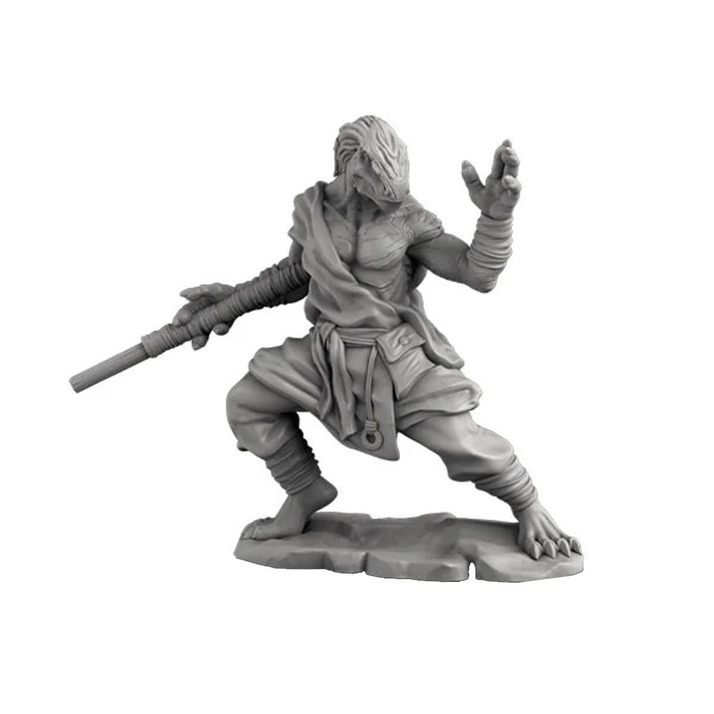 Next Level Miniatures: Dragonborn Monk